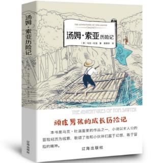 （4）《汤姆·索亚历险记》第二章