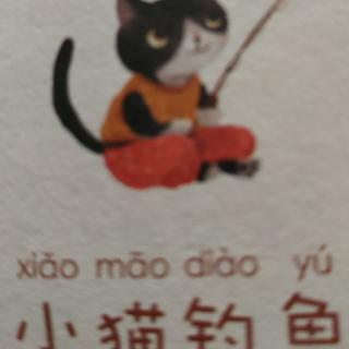 小猫🐱钓鱼