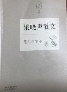 慈母和我的书（2）📖