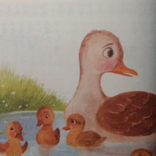 小鸭子学游水42页