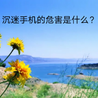 《解决问题的智慧》沉迷手机的危害是什么？