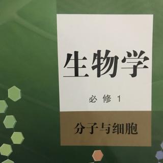 光合作用原理的应用