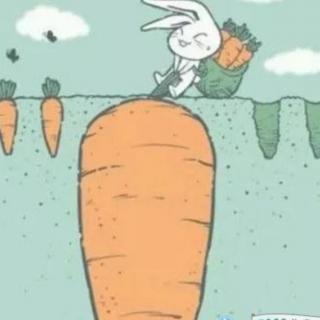 《小兔拔萝卜》