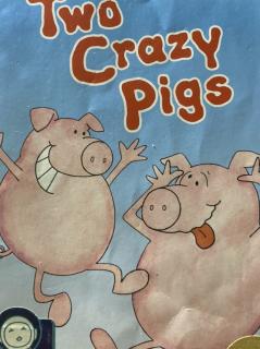 Ni 【Vol 94】Two Crazy Pigs（SL 1G）