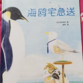 《海鸥宅急送》