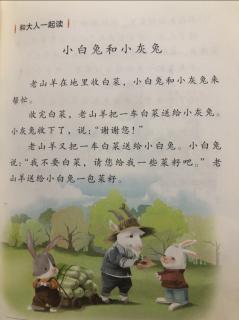 小白兔和小灰兔