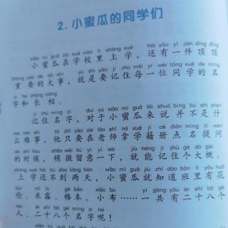 小蜜瓜的同学们