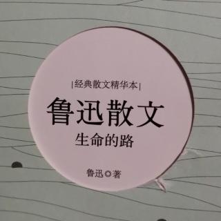 《自由的界限》