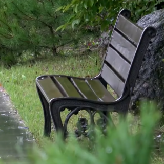 在公园长椅上，下雨的风景听到的凉爽的雨声的声音