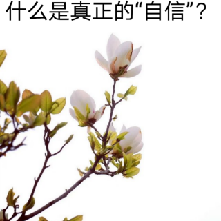 《解决问题的智慧》什么是真正的“自信”？