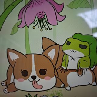 睡前故事《小狗🐶和青蛙🐸》