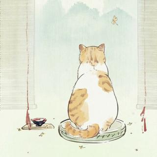 睡前故事【壹壹壹的猫】：肥猫