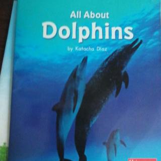 All about Dolphins9-20