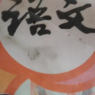 一个豆荚里的五粒豆