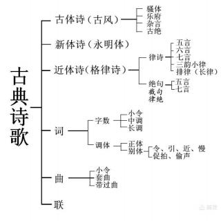 古诗词～基础知识