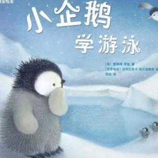 “知了之声”第五十九期故事《小企鹅学游泳》
