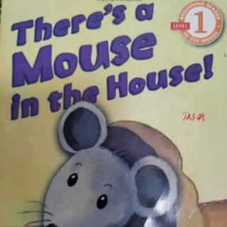 There's a mouse in the house