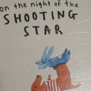 On the nighr of the Shooting Star