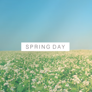 音乐盒-春日(Spring Day）