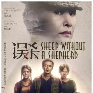 【疑影重重】Sheep Without a Shepherd·误杀