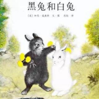 兰可琪故事会一《黑兔和白兔》