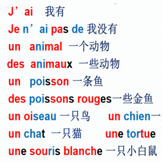 leçon 5  Tu as des animaux ?（讲解版）