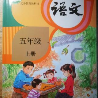 课文 5《搭石》