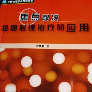 焦点解决短期心理治疗的应用3——架构与技术