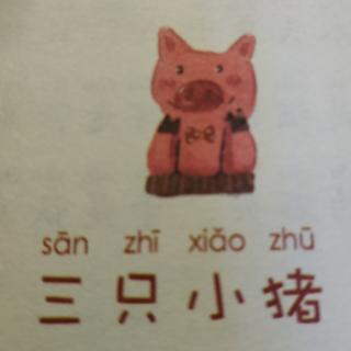 三只小猪🐖🐖🐖