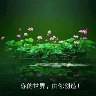 🥳把消息变成才能～🌳阳光森林