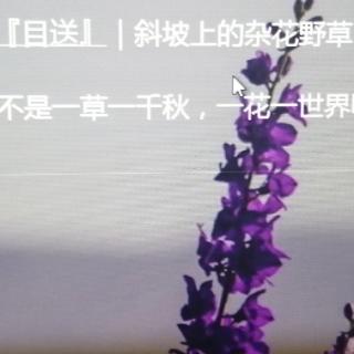 新1合