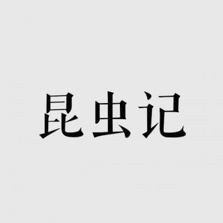 Vash的音乐信箱——昆虫记