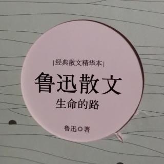 《我的失恋》