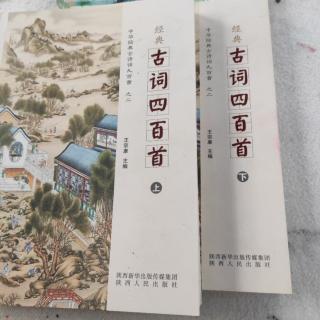 词-001.菩萨蛮平林漠漠烟如织