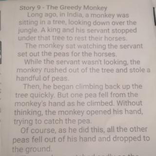 The   Greedy   Monky