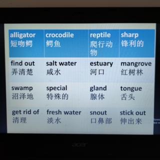 Alligator or a crocodile单词短文