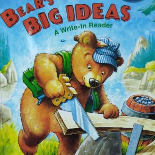 Day 225 - Bear's Big Ideas 2