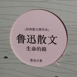 《聪明人和傻子和奴才》