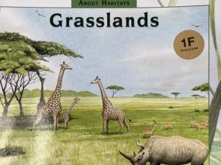 Ni 【Vol 103】Grasslands（SL 1F）