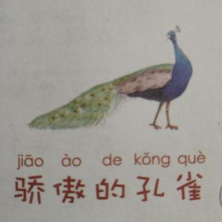 骄傲的孔雀🦚