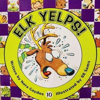 Elk yelps！