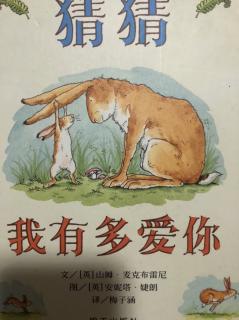 《猜猜我有多爱你》