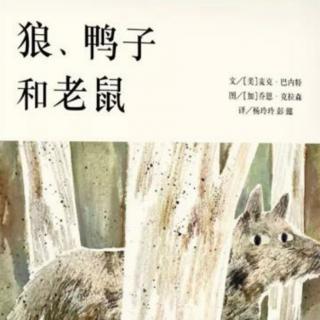 菁菁老师讲故事《狼、鸭子和老鼠》