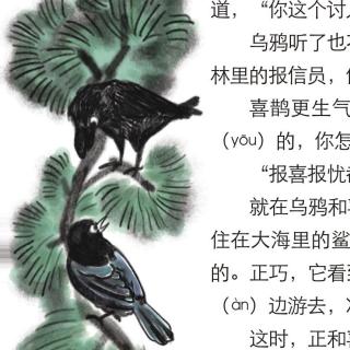 乌鸦和喜鹊— 钱玺林