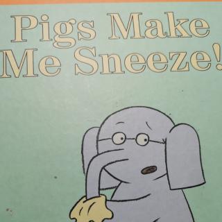 Pigs make me sneeze