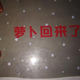 萝卜回来了