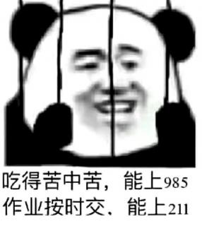 失踪的小说家