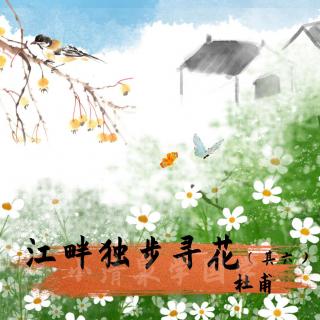 099 江畔独步寻花（其六）-杜甫 | 小清泉学国学