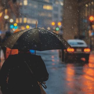 听雨 - 瑞秋紫夜