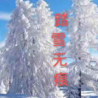 《相识》作者踏雪无痕